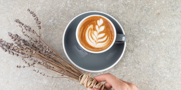 ¿Cuántas calorías tiene el café?