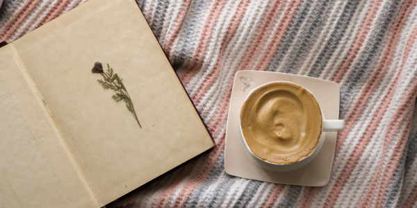 ¿Cafeína y teína es lo mismo?